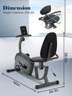 Quiet 8-Level Recumbent Bike