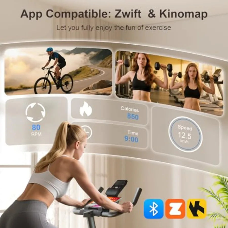 Magnetic Resistance Spin Bike