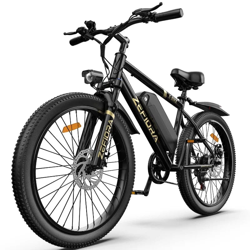 High-Speed 48V Electric Bike