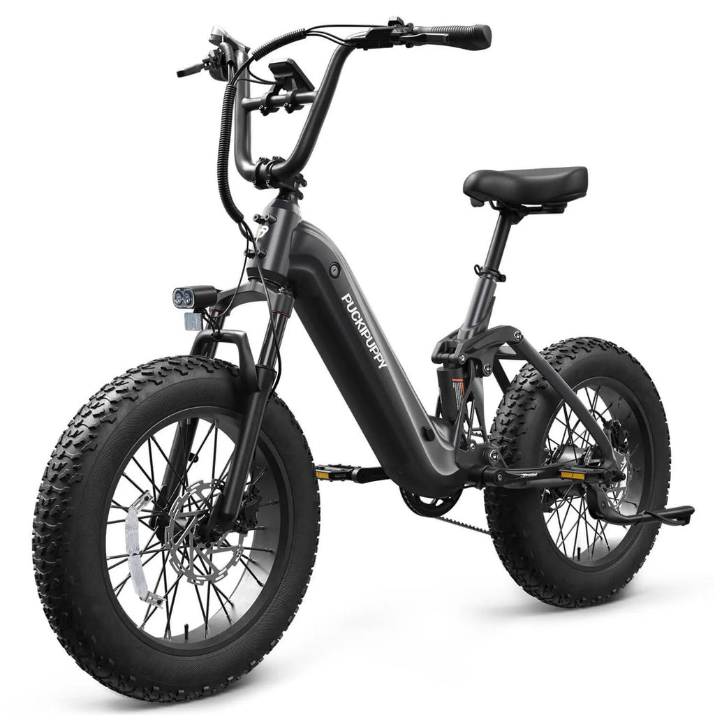 PUCKIPUPPY 20" Fat Tire E-Bike