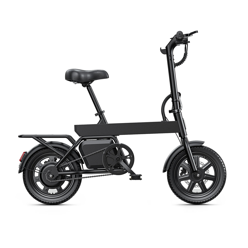 REGALANGEL B20 Mini E-Bike