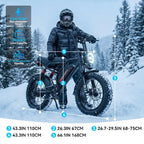 High-Speed 48V Electric Bike