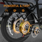 DYU A20 Fat Tire E-Bike