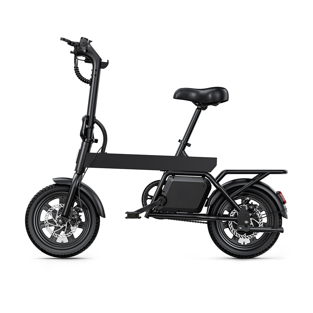 REGALANGEL B20 Mini E-Bike