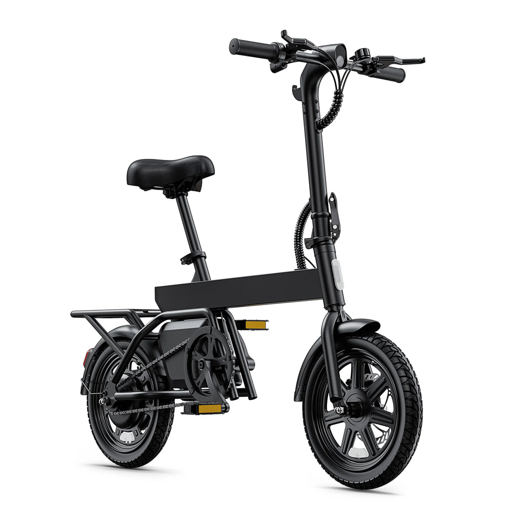 REGALANGEL B20 Mini E-Bike