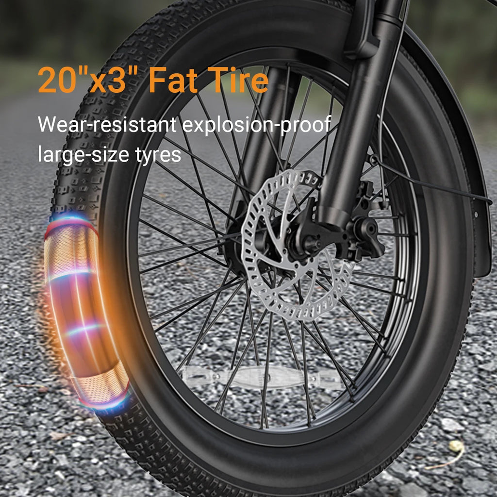 DYU A20 Fat Tire E-Bike
