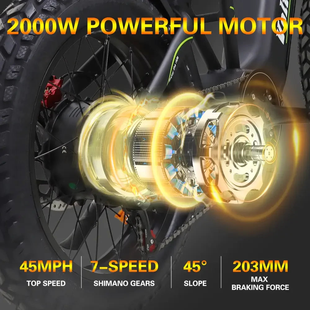 BAOLUJIE M2 2000W Electric Bike