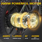 BAOLUJIE M2 2000W Electric Bike