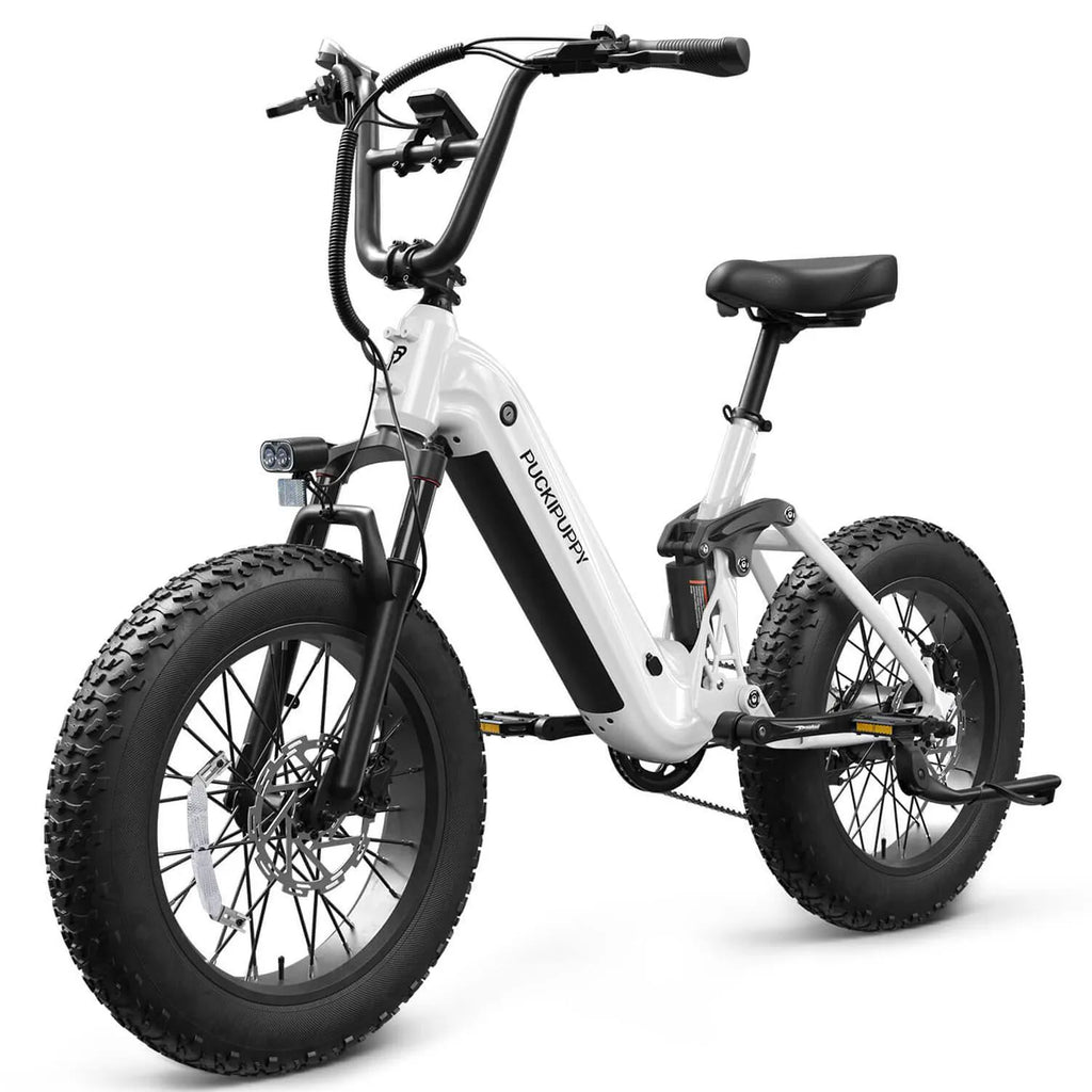 PUCKIPUPPY 20" Fat Tire E-Bike