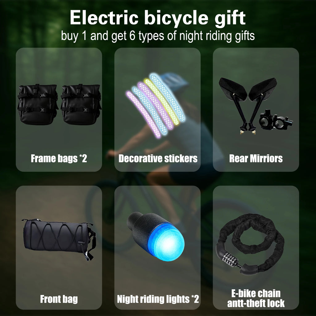 BAOLUJIE M2 2000W Electric Bike